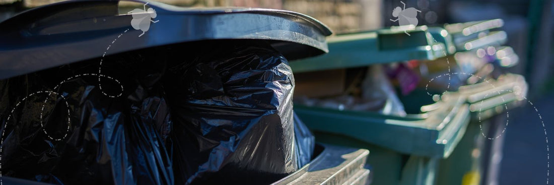 How to Stop Flies in Your Wheelie Bin