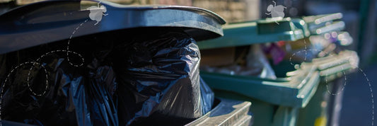 How to Stop Flies in Your Wheelie Bin