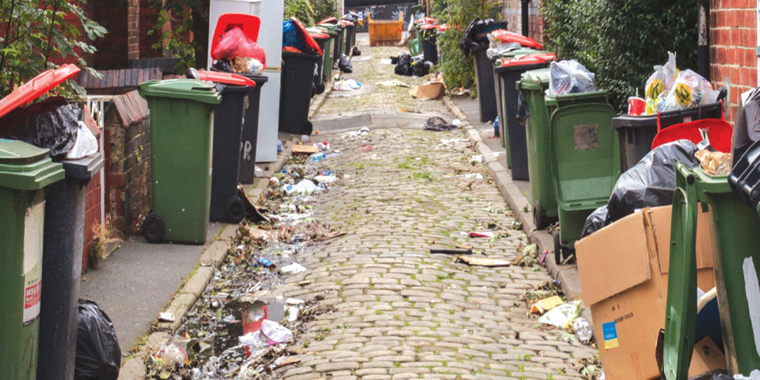 Wheelie bin litter mess
