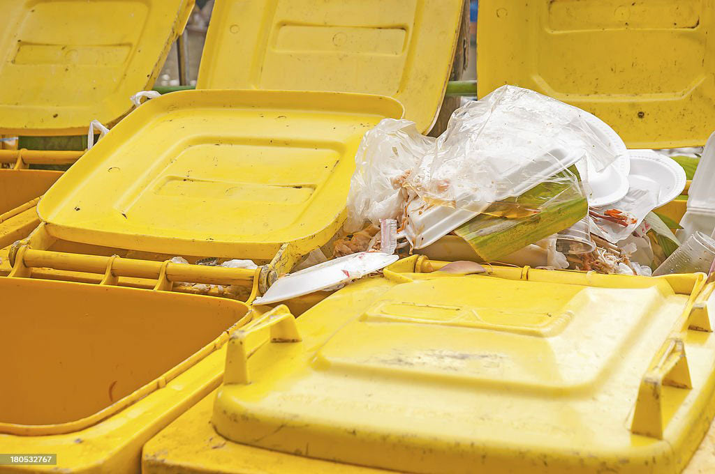 Open Wheelie bin lids